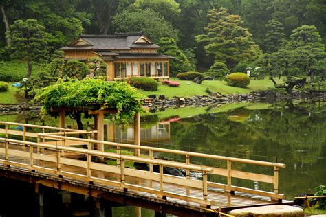 大きい公園 東京: 都市の緑と人々の憩い