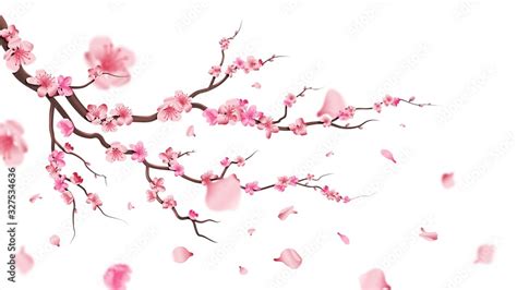 サクラアートミュージアム：桜の花びらが描く未来の芸術